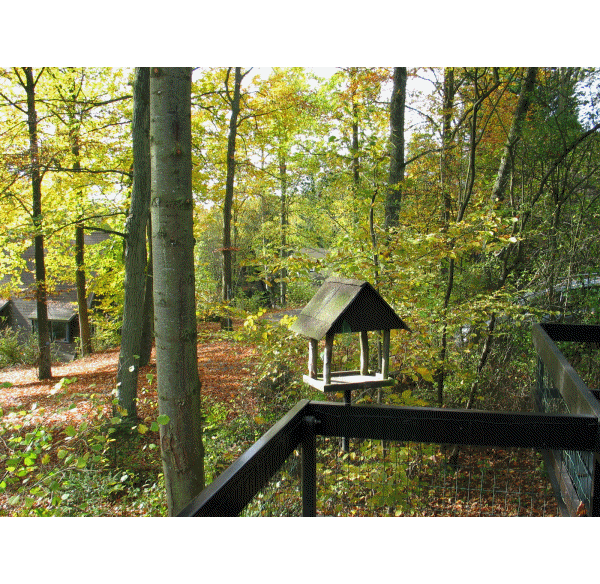DIA-PRESENTATIE Bungalowpark Sunclass Grandhan